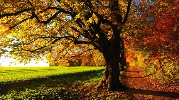 Du lac de barrage à Compostelle : balade sur les sentiers balisés de randonnée de la Commune de Saint-Etienne-Cantalès