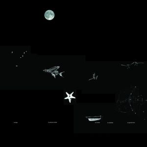 Illustration de la carte des constellations et dessins animés de l'oeuvre Aster à Saint-Etienne-Cantalès