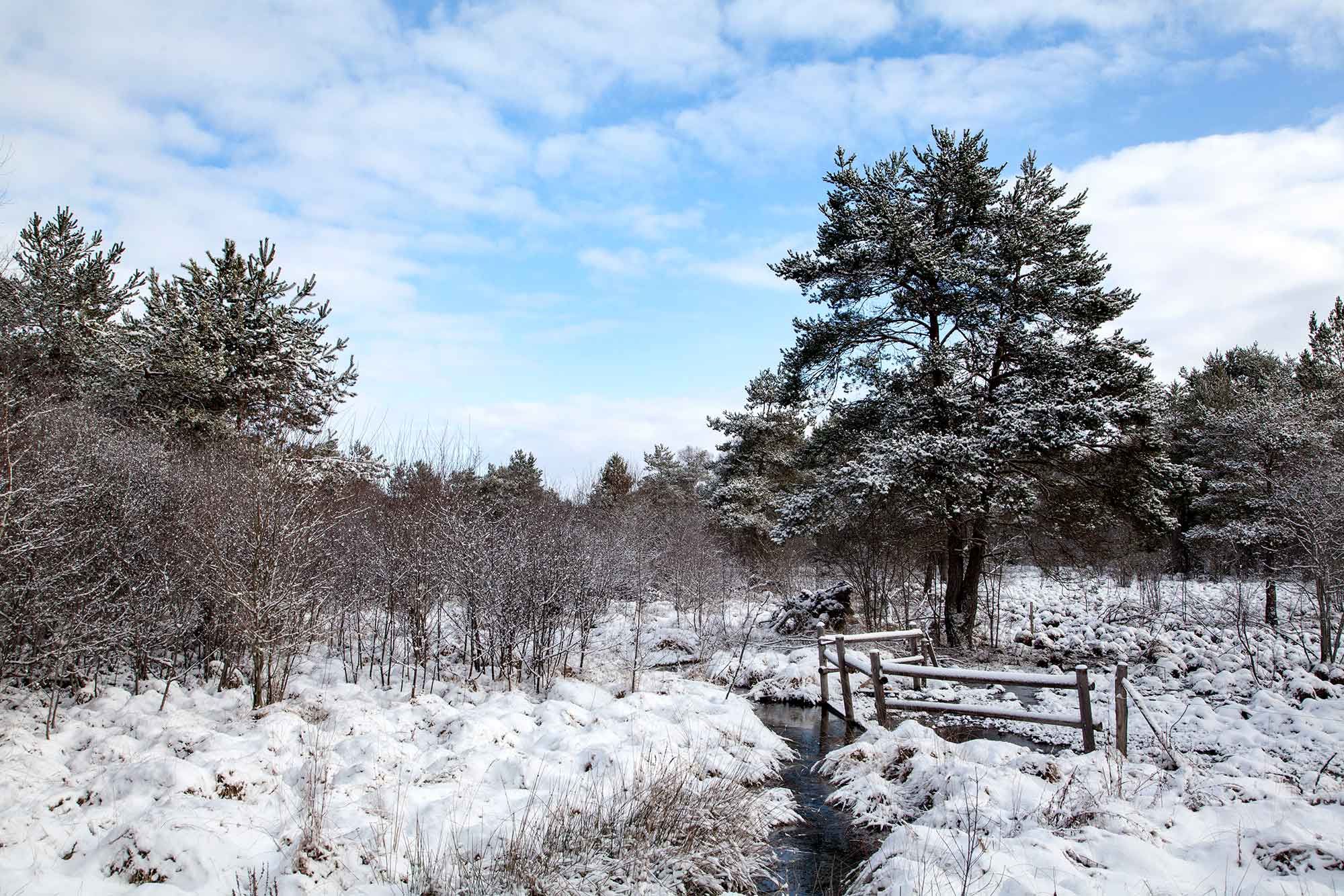 Marais du Cassan et de Prentegarde enneigé en plein hiver
