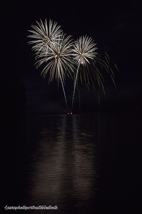 Photo du feu d'artifice 2021 tiré sur le lac de Saint-Etienne-Cantalès, prise par Laura Lalande, photographe amateur 